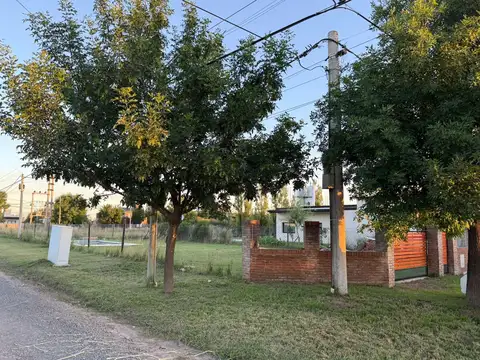 Terreno en Alquiler 14  mts Frente