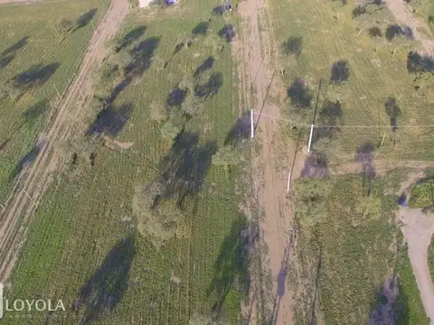 Viví en un barrio privado, en armonía con la Naturaleza