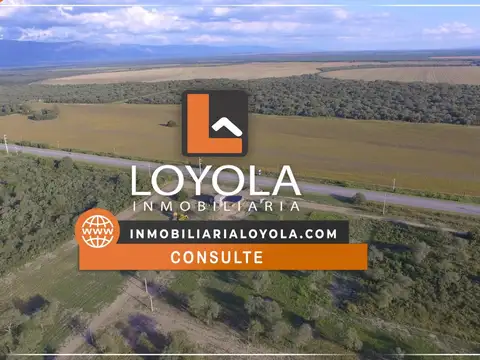 Viví en un barrio privado, en armonía con la Naturaleza