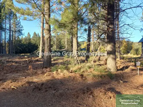 Terreno en Venta en San Martin de los Andes, USD 90.000