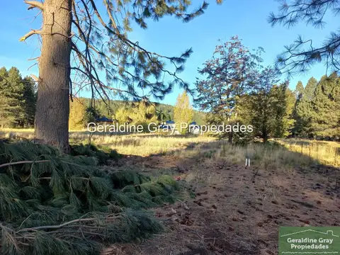Terreno / Lote en venta en Chapelco golf & Resort, San Martin de los Andes