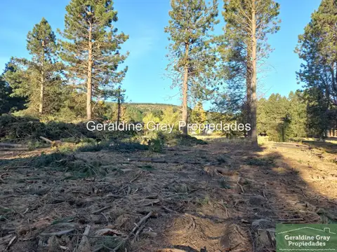 Terreno en Venta de 1531,0 m2