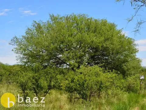 Terreno en Venta en Los Molles, USD 22.000