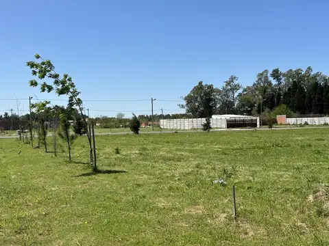 Terreno en Venta de 358,0 m2