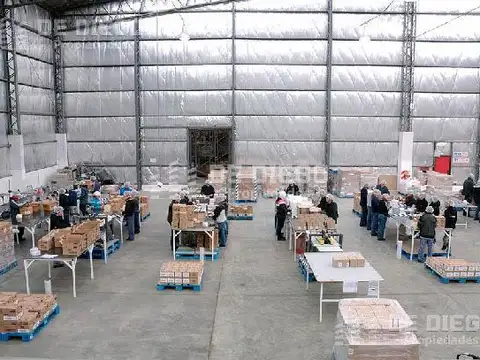 Terreno en Alquiler en Parque Industrial Pilar, USD 30.000