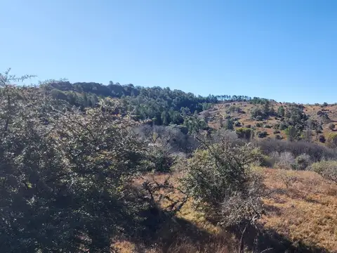 Terreno en Venta de 14382,94 m2