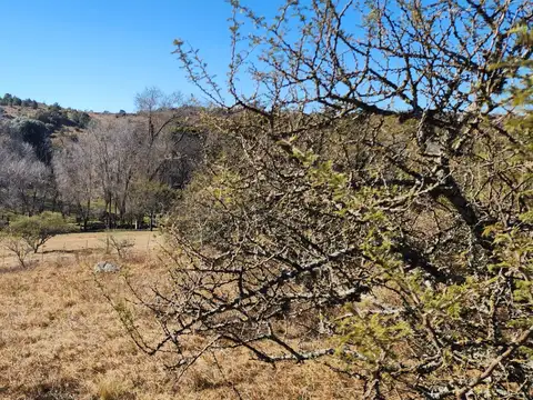 Terreno en Venta de 14382,94 m2