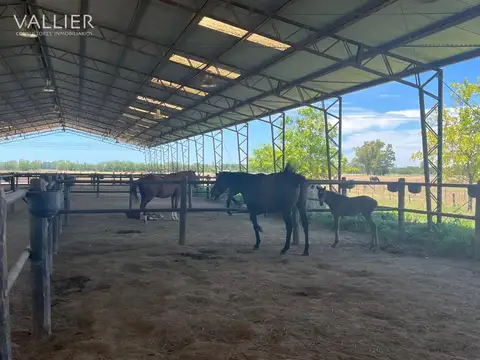 Terreno Campo  en Venta en San Andres de Giles, Resto de la Provincia, Buenos Aires