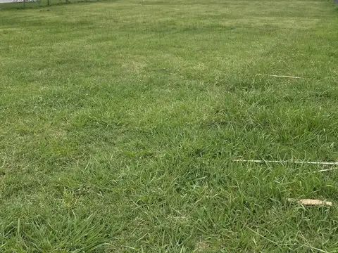 san sebastian area 11 COD 445