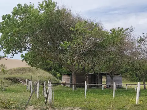 Chacra Sobre Ruta 11 en Verdemar (entre Las Toninas y Barrio de Mar) km 314