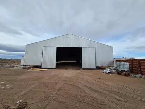 Alquiler Galpon industrial 1000 m2, Cutral Co