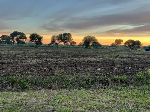 Terreno en Venta 21,75  mts Fondo