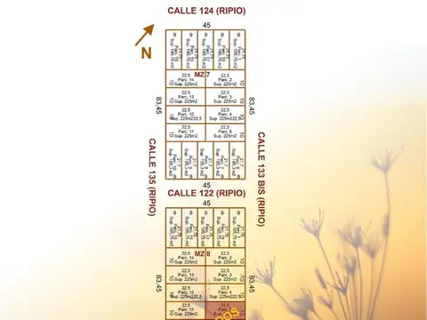 Terreno en Venta en Presidencia Roque Saenz Peña, $ 14.000.000