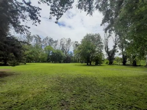 Terreno en Venta 95  mts Fondo