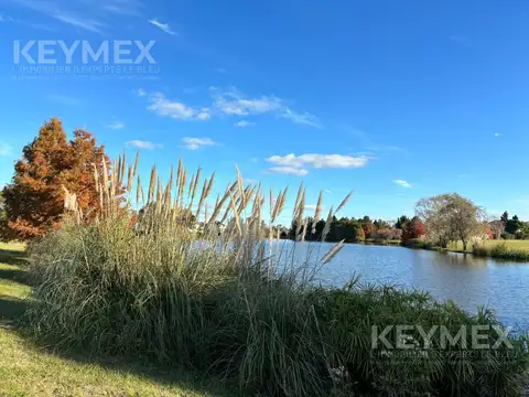 Terreno en Venta 46  mts Fondo