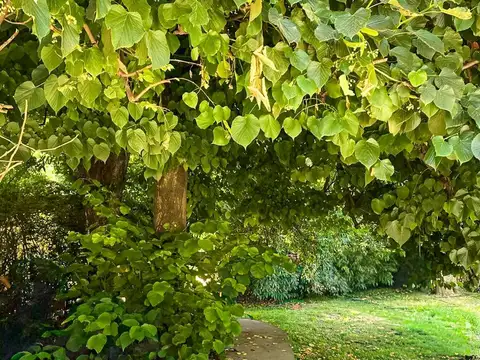 Casa en Venta en La Union, USD 69.000