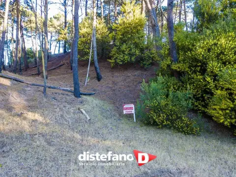 Cul de Sac Barlovento