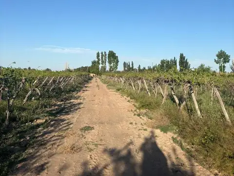 Terreno en Venta de 75700,0 m2