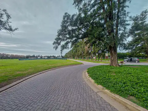 Terreno en Venta 45  mts Fondo