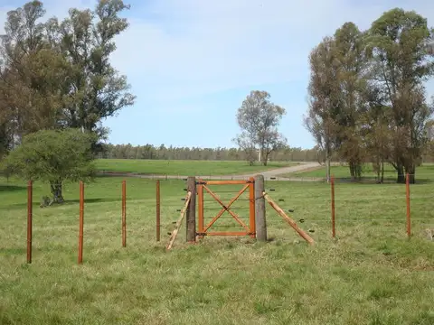 CHACRA DEL RINCON VENTA DE TERRENO