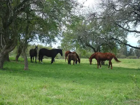 Terreno en Venta de 3000,0 m2