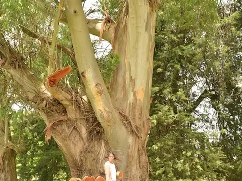 Terreno en Venta en Barrio San Juan, USD 85.000