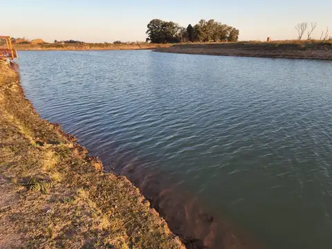 Terreno en Venta de 901,0 m2