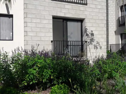 Las Amapolas y Camelias 1000