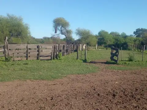Se alquila Campo en La Gallareta 980 hectareas.