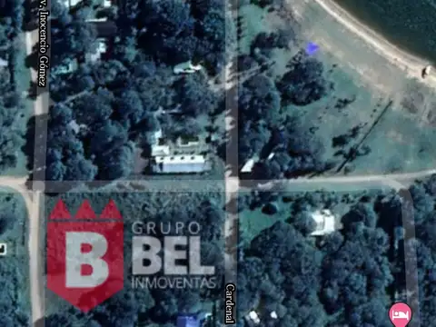 Canario y Cardenal 1000