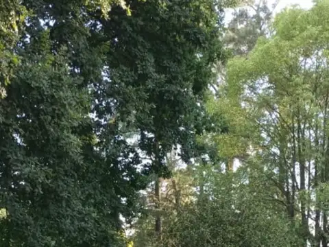 Quinta - Francisco Alvarez