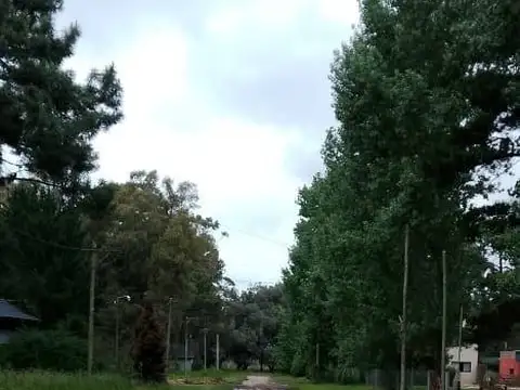 Terreno en Venta de 438,0 m2