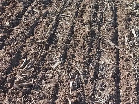 Campo mixto en zona General Viamonte - Cordoba