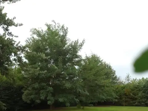 TERRENO EN HOSTAL DEL SOL