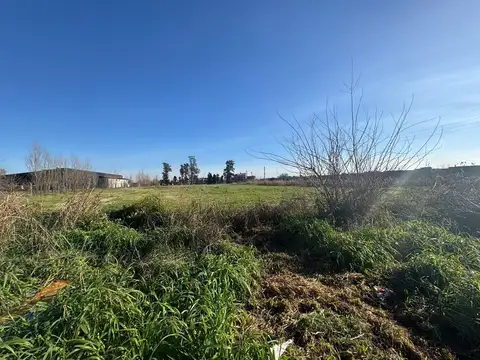 ALQUILER LOTE TERRENO 1 HECTAREA MERLO LIBERTAD