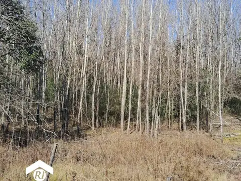 Terreno en Venta en Yacanto Calamuchita, USD 10.000