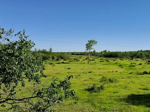 Campo en Villa Adela