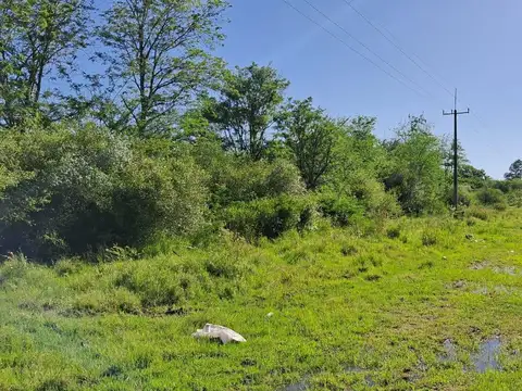 Campo en Villa Adela