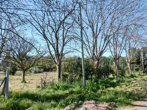 Lote a la venta en Villa Elisa