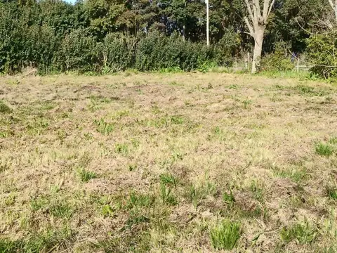 Lote a la venta en Villa Elisa