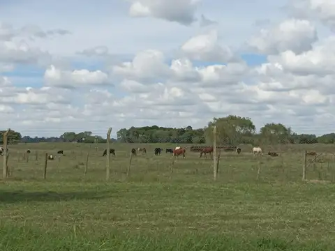 Terreno en venta - 2004mts2 - Marcos Paz