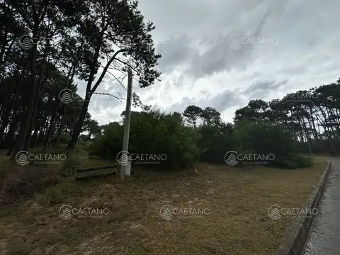 Terreno en Venta de 2513,0 m2