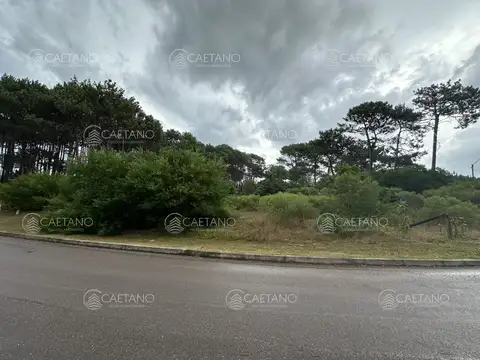 Terreno en Venta de 2513,0 m2