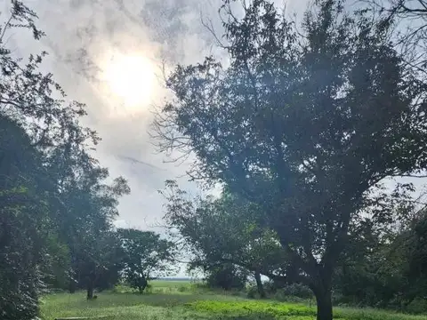 Chacra en venta - 5ha - San Pedro