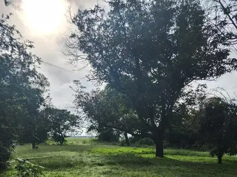 Ruta Nacional 9 Km 169