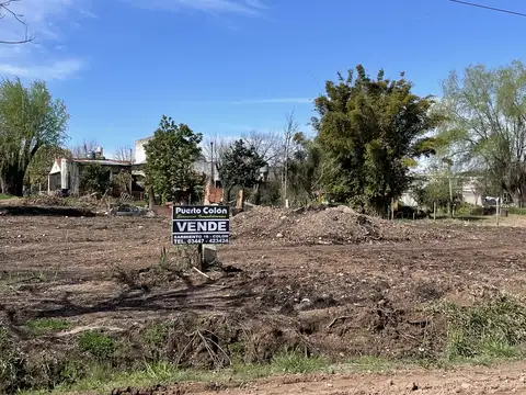 Alberdi entre Santa Cruz y Vergniaud.