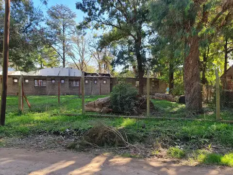 Nigromante a 40 metros de Los Tilos 100