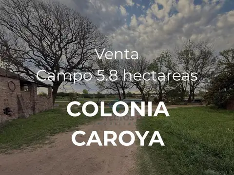 VENTA – CAMPO / LOTE DE 5.83 HECTÁREAS – COLONIA CAROYA
