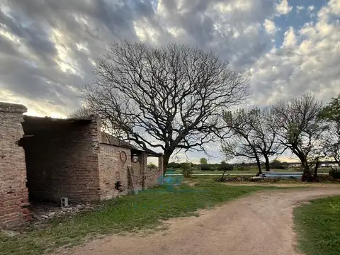 VENTA – CAMPO / LOTE DE 5.83 HECTÁREAS – COLONIA CAROYA