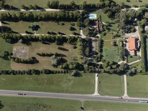 ¡Sumérgete en el apasionante mundo de La Federala, donde tus sueños cobrarán vida como nunca antes!